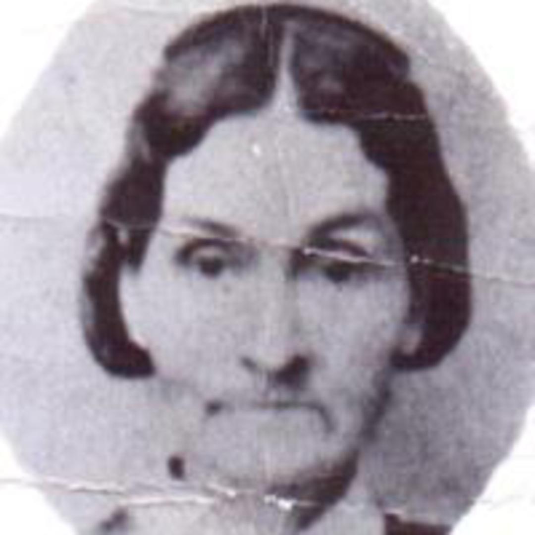 Mary Ellen Haven (1803 - 1863) Profile